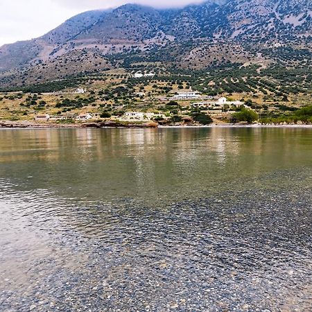 Tholos Alexandra'S Beachfront House Kavoúsion Exteriör bild