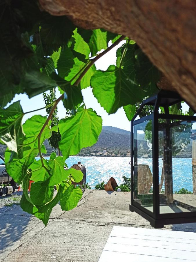 Tholos Alexandra'S Beachfront House Kavoúsion Exteriör bild