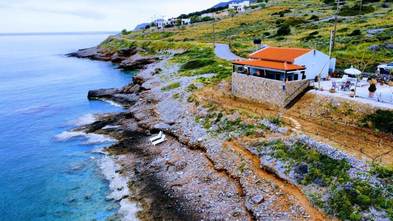 Tholos Alexandra'S Beachfront House Kavoúsion Exteriör bild