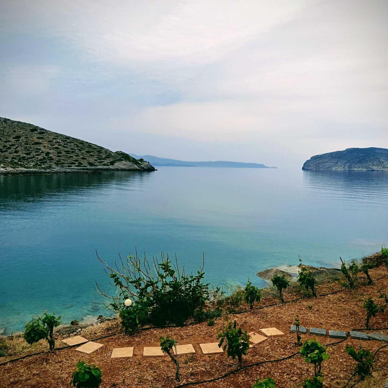 Tholos Alexandra'S Beachfront House Kavoúsion Exteriör bild